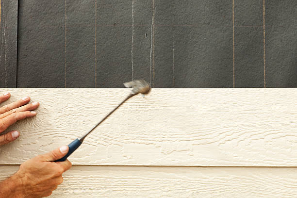 Best Insulated Siding Installation  in New Castle, CO